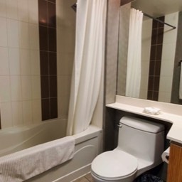 Image of the guest suite washroom