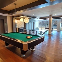 Image of a party room with pool table and other games